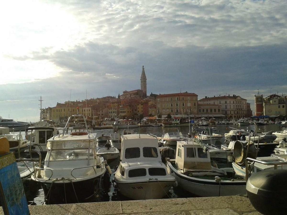 Apartment Erhart Rovinj